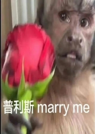 中午吃了牛肉和黄瓜和鸡蛋